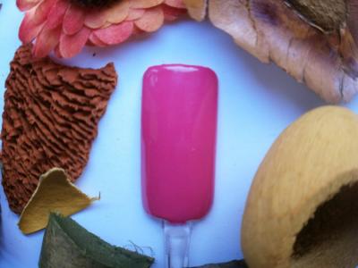 OPI Pink Flamenco.jpg